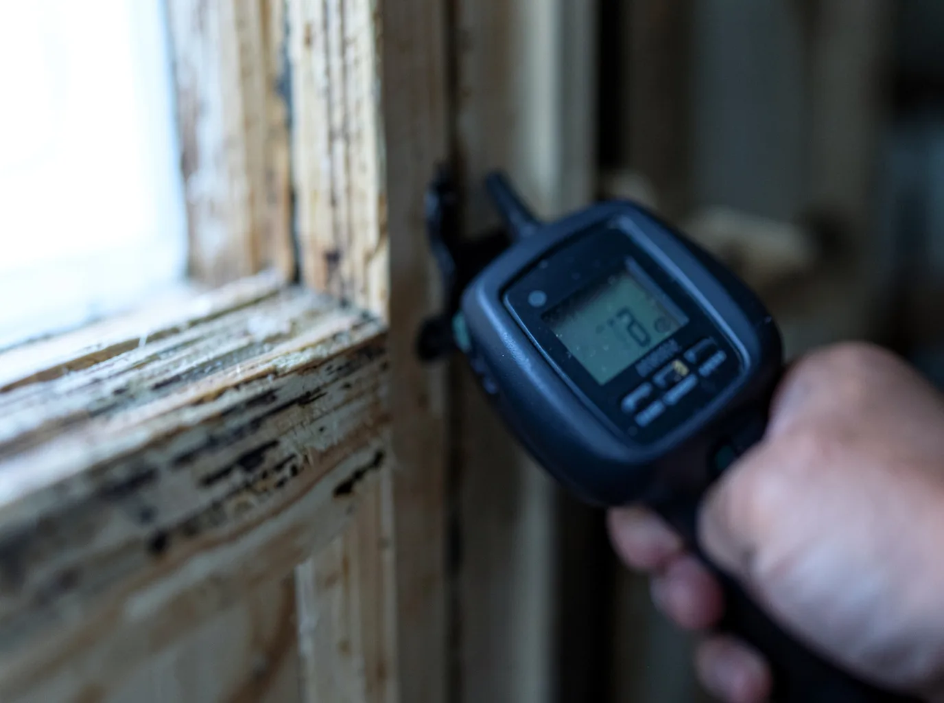 Moisture Inspection And Documentation in Northport, NY